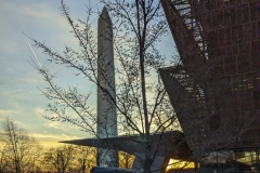 African American Museum and Washington Monument