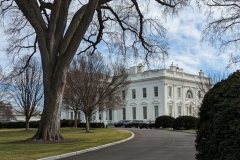 White House north view