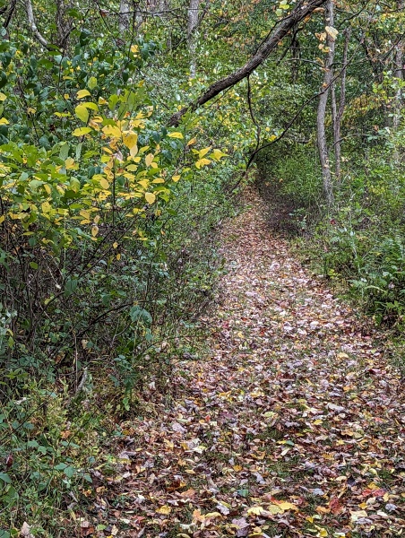 PXL_20231008_193014612