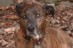 Annie
2002