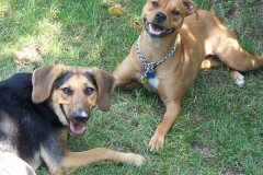 Two Friends2007