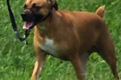 Callie2010